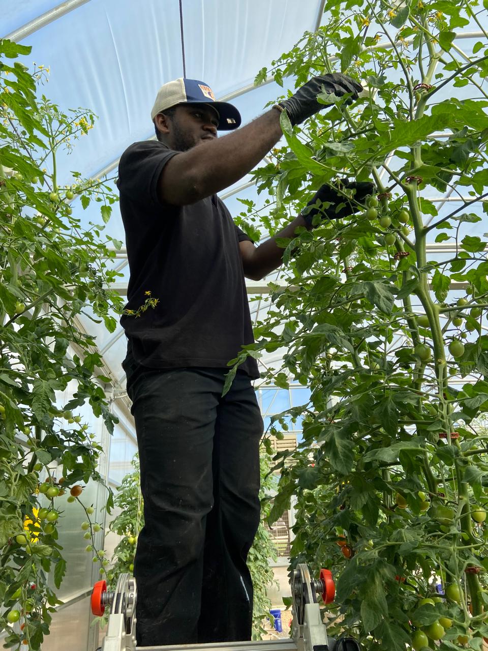Auburn aquaponics fieldwork