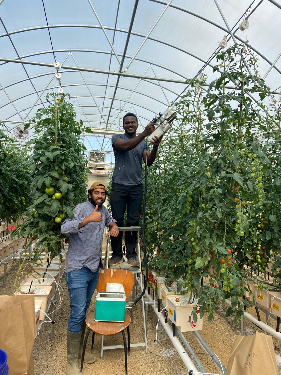 Auburn aquaponics fieldwork