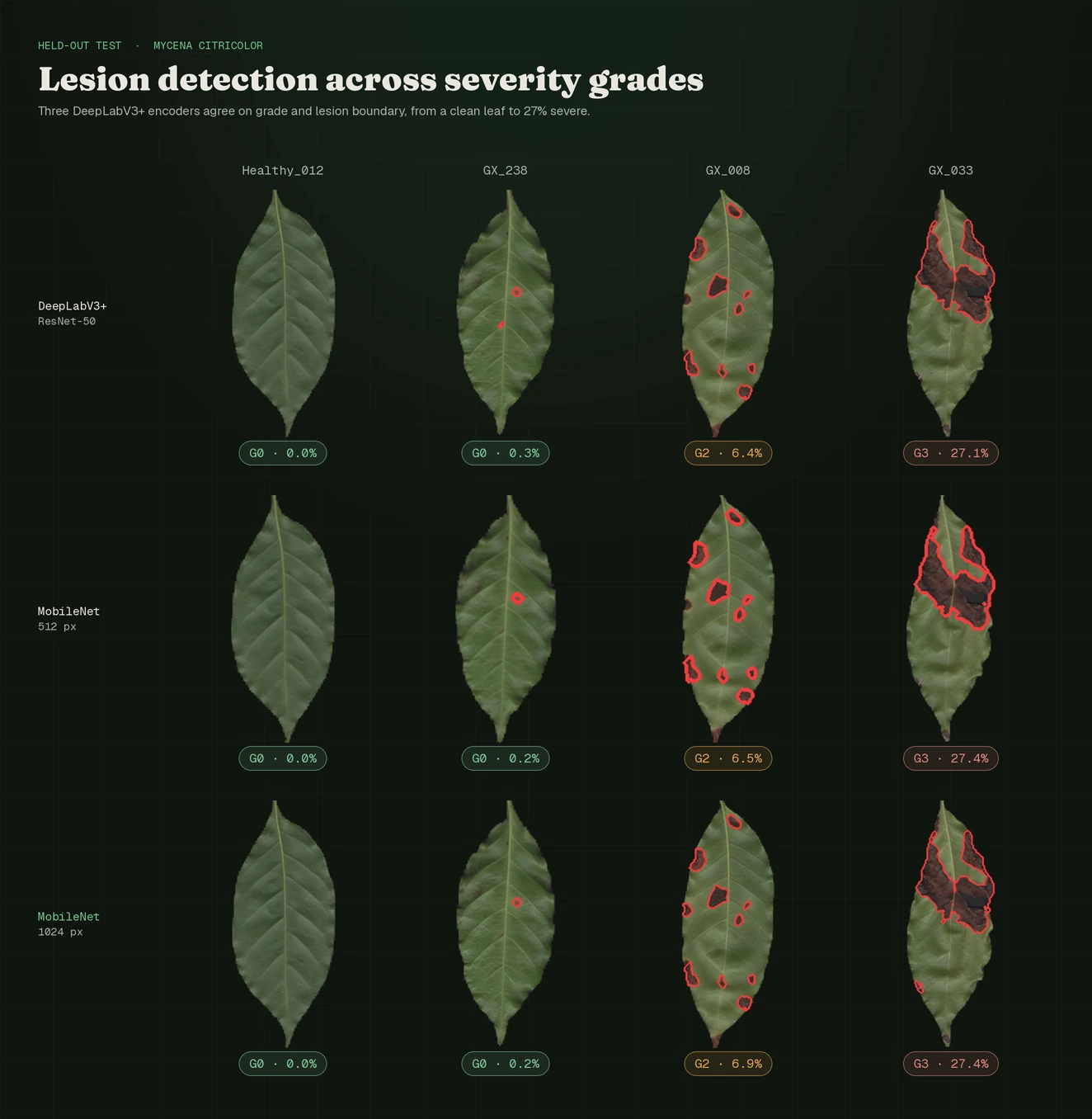 Grid comparing lesion detection by three DeepLabV3+ encoders across four coffee leaves from healthy (G0) to severe (G3), with red lesion outlines and severity percentages