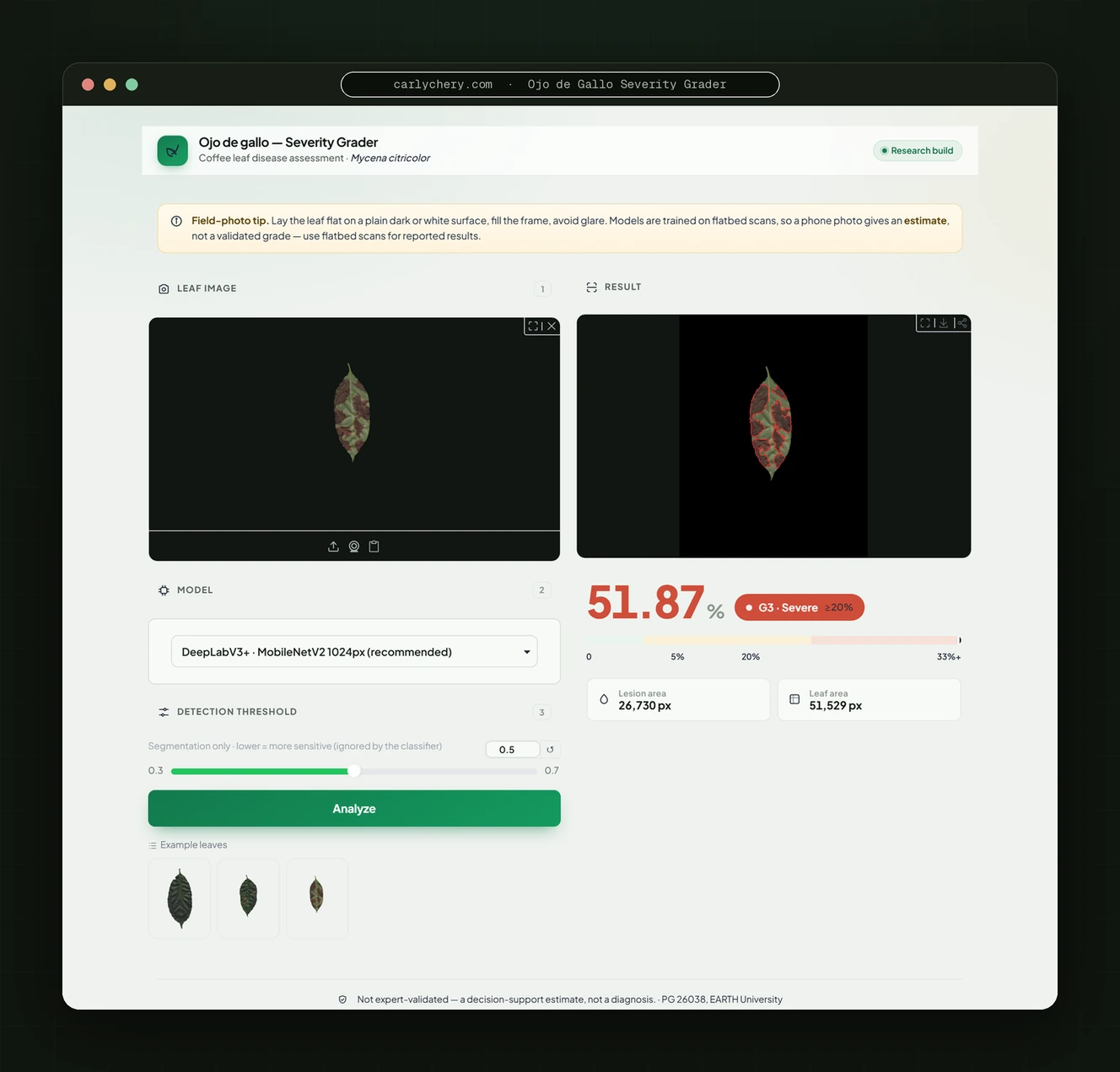 Web grading tool reading a severe coffee leaf at 51.9 percent, grade G3, with lesion overlay and pixel areas